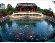 章丘天气预报60天