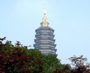 天宁天气预报7天